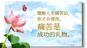【合集②】33天早餐不重样的做法 步骤33