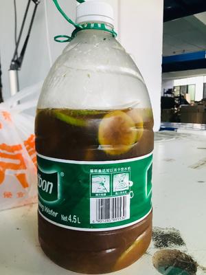 超级柠檬茶的做法 步骤18