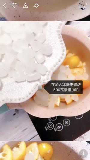 金桔柠檬膏的做法 步骤5