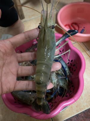柠檬虾（台式）的做法 步骤2
