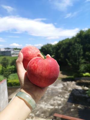 夏日桃子特饮的做法 步骤2