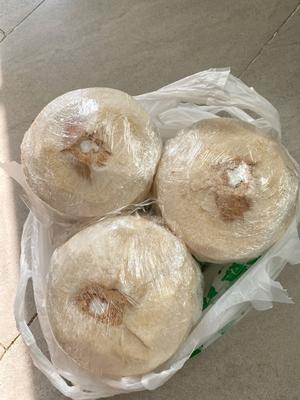 简单不上火 椰子鸡火锅的做法 步骤1