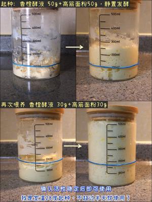 香橙酵液｜黄桃雪酪吐司?口感堪比布里欧修！的做法 步骤6