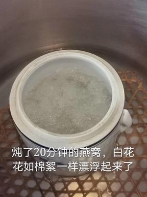 原只木瓜炖燕窝的做法 步骤3