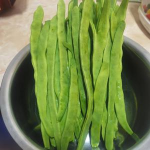 炒扁豆角丝的做法 步骤1