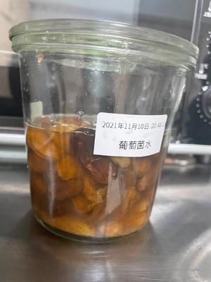 葡萄菌水养成及续养的做法 步骤3