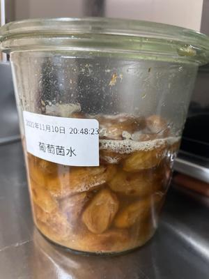 葡萄菌水养成及续养的做法 步骤11