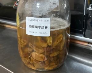 葡萄菌水养成及续养的做法 步骤15