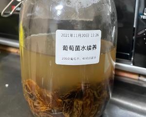 葡萄菌水养成及续养的做法 步骤14