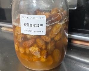 葡萄菌水养成及续养的做法 步骤18