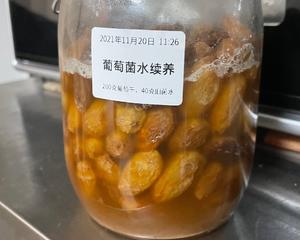 葡萄菌水养成及续养的做法 步骤19