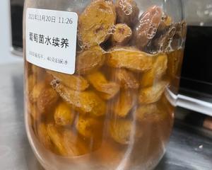 葡萄菌水养成及续养的做法 步骤20