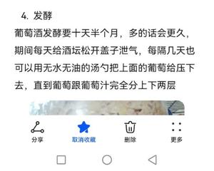 自制葡萄酒的做法 步骤10