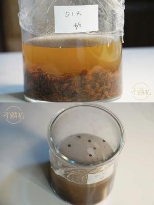 葡萄菌水&葡萄菌种养成记的做法 步骤3