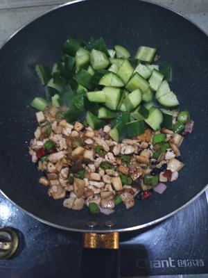 美味的下饭菜黄瓜杏鲍茹炒鸡肉的做法 步骤6