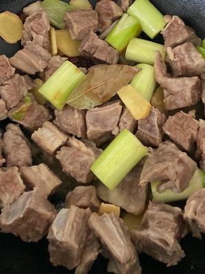 杨梅季的半黑暗料理：牛肋条的美味伴侣的做法 步骤4
