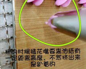 入口即化火龙果溶豆的做法 步骤15