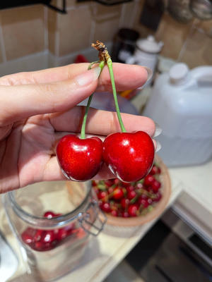 樱桃酒的做法 步骤2