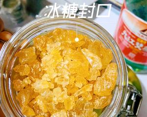 0基础自制青梅～桑葚酒的做法 步骤4