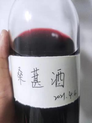 桑葚酒与桑葚干的做法 步骤7