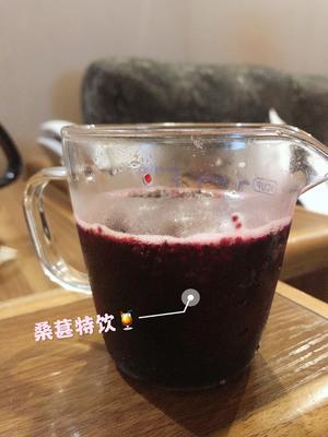 酿桑葚酒（手把手教）的做法 步骤8