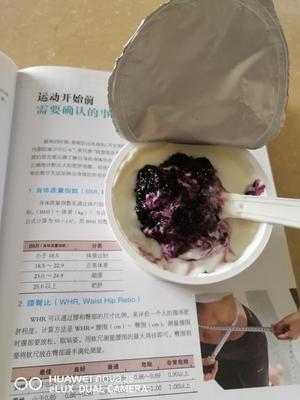 美容养颜桑椹蓝莓膏的做法 步骤9