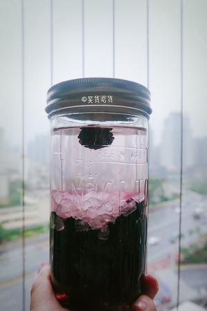 桑葚酒?的做法 步骤5