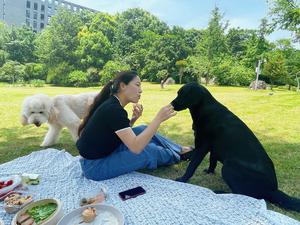 野餐?的做法 步骤5