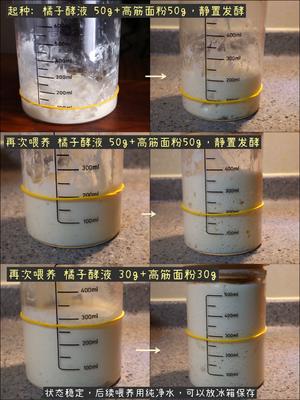 教你制作橘子酵液｜香气迷人的香草柑橘吐司的做法 步骤6