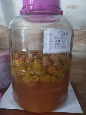 李子酿酒（无酒）的做法 步骤8