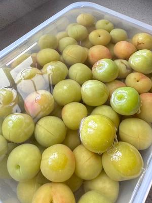 夏天必吃腌李子的做法 步骤6
