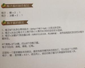 梅子露、青梅酒、脆梅、梅子酱、青梅酵素、梅精、梅子醋、紫苏梅的做法 步骤7