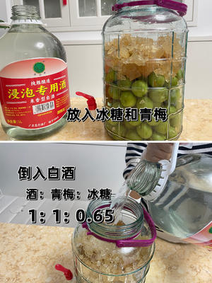 自制青梅酒的做法 步骤6