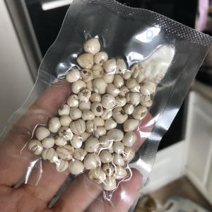 枇杷秋梨膏的做法 步骤9