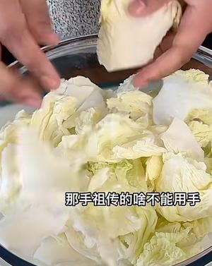 白菜炖粉条的做法 步骤4