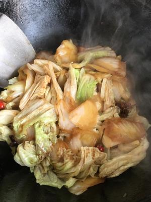 家常「白菜粉条炖豆腐」干饭神菜???的做法 步骤19