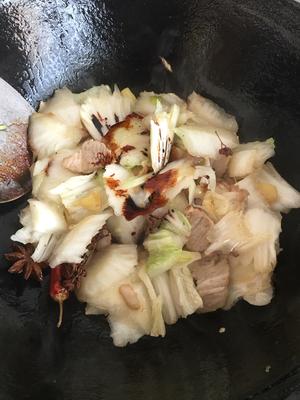 家常「白菜粉条炖豆腐」干饭神菜???的做法 步骤16