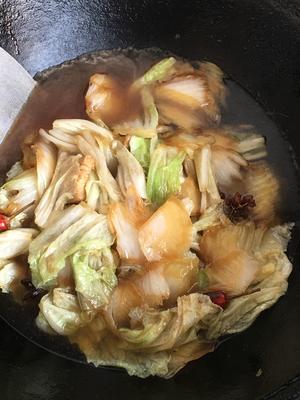 家常「白菜粉条炖豆腐」干饭神菜???的做法 步骤20