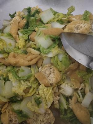 白菜炖豆腐的做法 步骤3