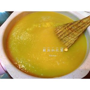 酸甜枇杷酱?的做法 步骤6