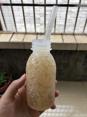 海底椰菊花雪梨膏的做法 步骤9