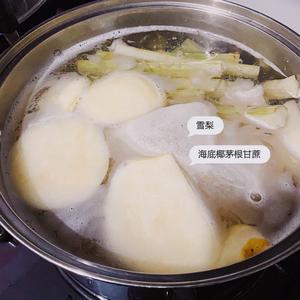 雪梨海底椰菊花茅根膏的做法 步骤5