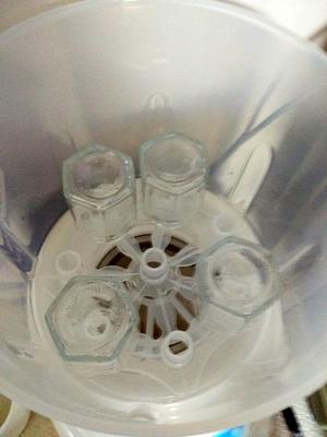 银耳雪燕桃胶皂角米羹的做法 步骤5