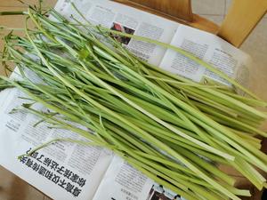 超香！用芹菜叶子 自制欧芹碎（香料调料）的做法 步骤2