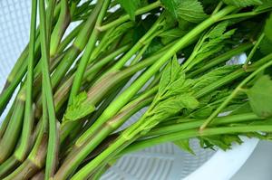 野芹菜炒牛肉（鲜嫩）的做法 步骤2