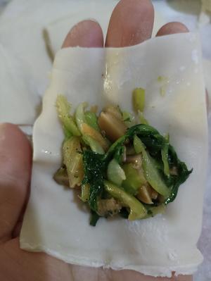 青菜海参馅大馄饨的做法 步骤9