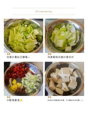 白菜豆腐炖粉条（素）的做法 步骤1