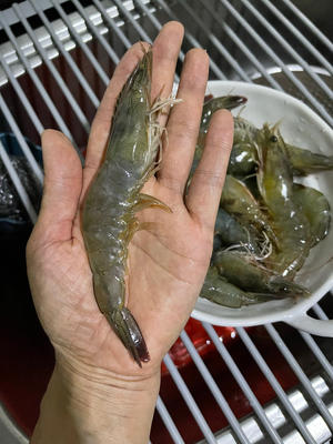 白菜大虾炖粉丝的做法 步骤1
