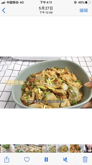 爆好吃鸡胸肉白菜炖粉条的做法 步骤18