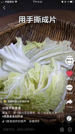 白菜豆腐煲的做法 步骤2